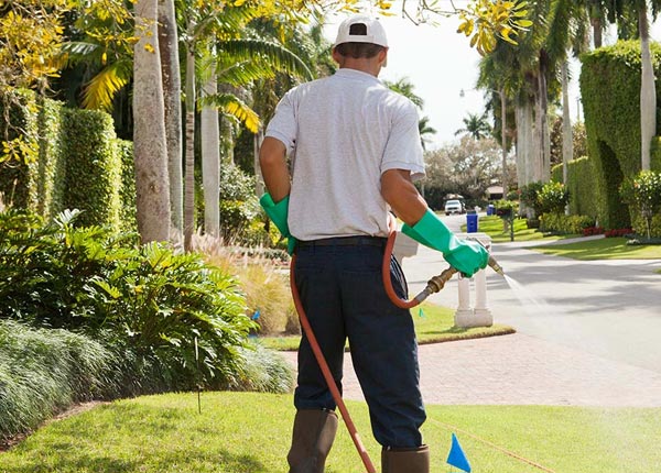 About Webster City IA Pest Control